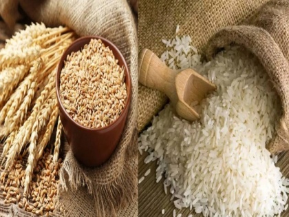 Indians Eating Empty Calories? Study Finds Rice and Wheat Low in Nutrients, High in Toxins | Indians Eating Empty Calories? Study Finds Rice and Wheat Low in Nutrients, High in Toxins