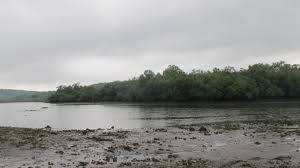 Navi Mumbai: Centre Directs State to Prioritize Lotus Lake Burial Case: MOEFCC Orders Swift Action | Navi Mumbai: Centre Directs State to Prioritize Lotus Lake Burial Case: MOEFCC Orders Swift Action Navi Mumbai: Centre Directs State to Prioritize Lotus Lake Burial Case: MOEFCC Orders Swift Action | Navi Mumbai: Centre Directs State to Prioritize Lotus Lake Burial Case: MOEFCC Orders Swift Action