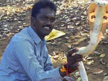 Kerala: Snake rescue expert Vava Suresh bitten by cobra, hospitalised in critical condition | Kerala: Snake rescue expert Vava Suresh bitten by cobra, hospitalised in critical condition Kerala: Snake rescue expert Vava Suresh bitten by cobra, hospitalised in critical condition | Kerala: Snake rescue expert Vava Suresh bitten by cobra, hospitalised in critical condition