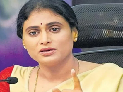 Congress Confirms 5 Lok Sabha, 114 Assembly Candidates for Andhra Pradesh, Says Y S Sharmila | Congress Confirms 5 Lok Sabha, 114 Assembly Candidates for Andhra Pradesh, Says Y S Sharmila