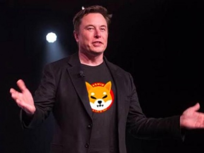 Shiba Inu become the 12th-biggest cryptocurrency in market value after Musk's tweet | Shiba Inu become the 12th-biggest cryptocurrency in market value after Musk's tweet