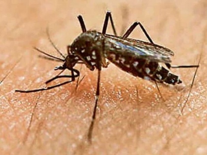 First case of Zika virus confirmed in Karnataka | First case of Zika virus confirmed in Karnataka
