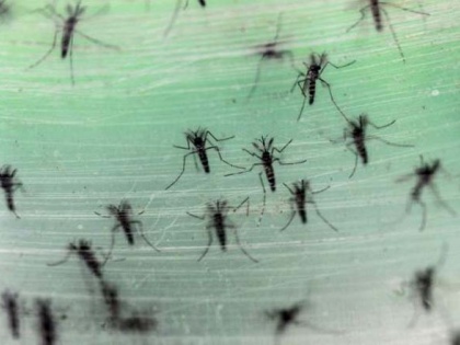 Kerala reports first case of Zika virus | Kerala reports first case of Zika virus