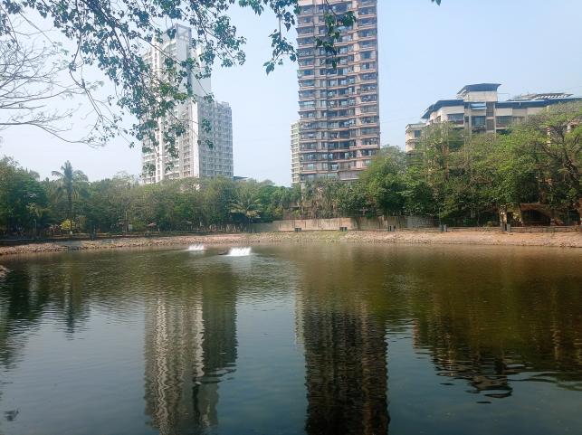 Brahmala Lake: A Peaceful Oasis in Thane City - www.lokmattimes.com