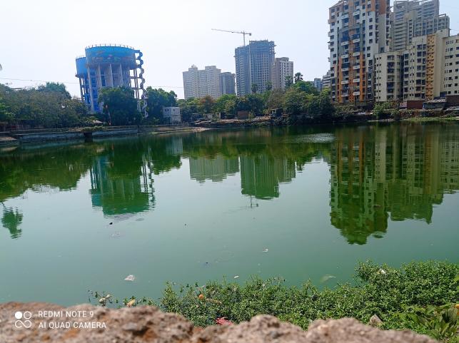 Thane's Siddheshwar Lake: From Serene Oasis to Struggling Survivor Amid ...