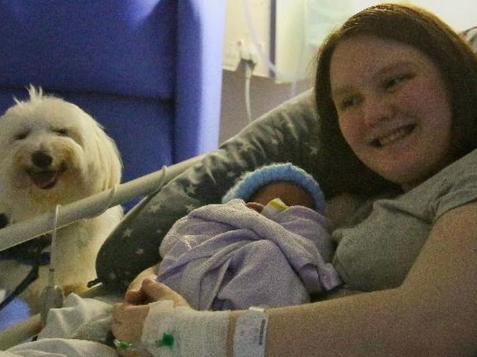 dog-helps-pregnant-woman-in-delivery-room-during-child-birth-www