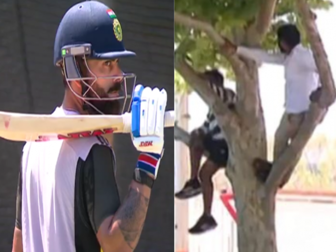 Fans Climb Trees To Watch Virat Kohli’s Net Session in Perth Ahead of