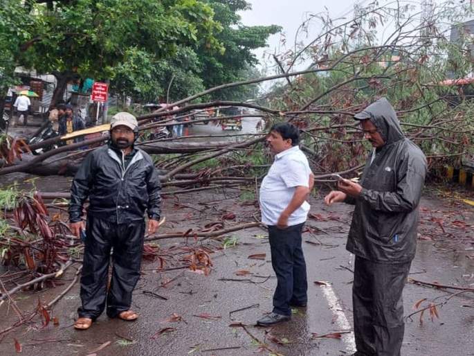 Tree falls in front of Superintendent of Police's office www