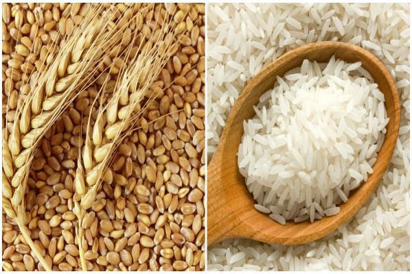 COVID-19: Pune Zilla Parishad to distribute foodgrains to 65,000 ...