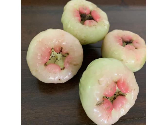 Rujuta Diwekar says eat local fruits to fight Covid19 www