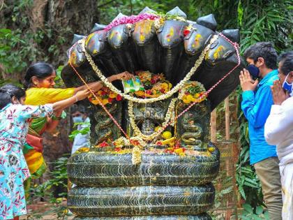 Nag Panchami 2024 Date Shubh Muhurat Time Puja Vidhi Significance and More www.lokmattimes