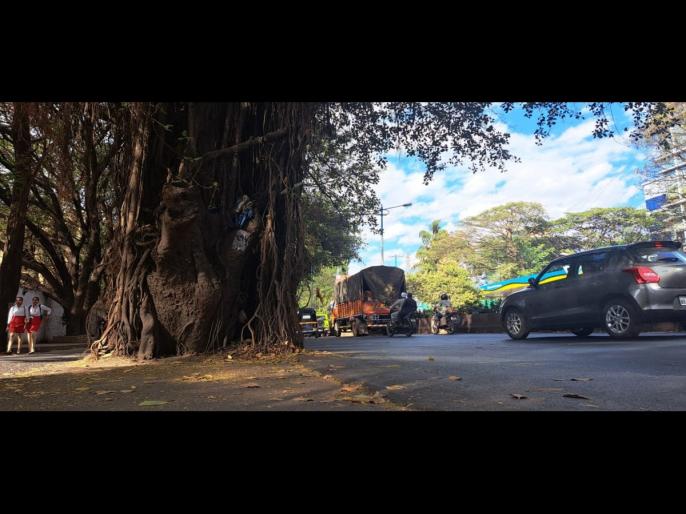 Pune: 61 Trees To Be Cut To Reconstruct Sadhu Vaswani Rail Overbridge ...