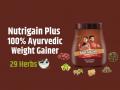 Velnik India Limited Launches Nutrigain Plus – An Ayurvedic Weight Gainer with Super Herbs and Essential Vitamins - Hindi News | Velnik India Limited Launches Nutrigain Plus – An Ayurvedic Weight Gainer with Super Herbs and Essential Vitamins | Latest business News at Lokmattimes.com