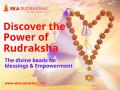 Ultimate Source for Authentic Rudraksha is now Online, Discover ekarudraksha with 25 years of Expertise - Hindi News | Ultimate Source for Authentic Rudraksha is now Online, Discover ekarudraksha with 25 years of Expertise | Latest business News at Lokmattimes.com