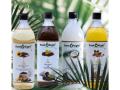 Rootoright Cold-Pressed Oils Shine as Coffee & Tea Sampling Unveils Next-Gen Kitchen Essentials! - Hindi News | Rootoright Cold-Pressed Oils Shine as Coffee & Tea Sampling Unveils Next-Gen Kitchen Essentials! | Latest business News at Lokmattimes.com