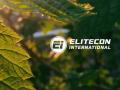 Shares of Elitecon International Surged Over 4 Percent; Check Details Here - Hindi News | Shares of Elitecon International Surged Over 4 Percent; Check Details Here | Latest business News at Lokmattimes.com