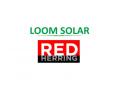 Loom Solar recognized as CleanTech winner of 2022 Red Herring Top 100 Global - Hindi News | Loom Solar recognized as CleanTech winner of 2022 Red Herring Top 100 Global | Latest business News at Lokmattimes.com