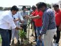 Energy Beverages Celebrated World Environment Day With Tree Plantation Drive - Hindi News | Energy Beverages Celebrated World Environment Day With Tree Plantation Drive | Latest business News at Lokmattimes.com