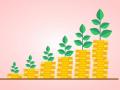 FlexiLoans: Small Business, Big Impact.  How it is Catalyzing MSME growth - Hindi News | FlexiLoans: Small Business, Big Impact.  How it is Catalyzing MSME growth | Latest business News at Lokmattimes.com