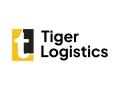 Shares of Tiger Logistics Ltd jump over 5 per cent; Check Details Here - Hindi News | Shares of Tiger Logistics Ltd jump over 5 per cent; Check Details Here | Latest business News at Lokmattimes.com