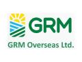 GRM Overseas Ltd Shares Surge Amidst Strong Financials and Investor Confidence - Hindi News | GRM Overseas Ltd Shares Surge Amidst Strong Financials and Investor Confidence | Latest business News at Lokmattimes.com