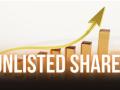 Who’s Investing in Unlisted Shares—and Why the Retail Crowd is Catching Up - Hindi News | Who’s Investing in Unlisted Shares—and Why the Retail Crowd is Catching Up | Latest business News at Lokmattimes.com