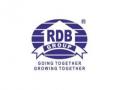 RDB Infrastructure and Power Limited Surges to All-Time High Amidst Strong Volume and Robust Financials - Hindi News | RDB Infrastructure and Power Limited Surges to All-Time High Amidst Strong Volume and Robust Financials | Latest business News at Lokmattimes.com