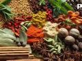 The Quest for Pepper: A Brief History of Modern Spices - Hindi News | The Quest for Pepper: A Brief History of Modern Spices | Latest lifestyle News at Lokmattimes.com