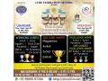 Cube Federation of India and Mindgamez Announce 18th Online Rubik’s SpeedCubing Tournament 2025 - Hindi News | Cube Federation of India and Mindgamez Announce 18th Online Rubik’s SpeedCubing Tournament 2025 | Latest business News at Lokmattimes.com