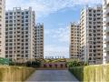 Ekta Parksville Homes at Virar to soon receive OC - Hindi News | Ekta Parksville Homes at Virar to soon receive OC | Latest business News at Lokmattimes.com