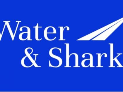 From Times Square to Global Boardrooms: Water and Shark Sets the Standard in Auditing and Consulting | From Times Square to Global Boardrooms: Water and Shark Sets the Standard in Auditing and Consulting From Times Square to Global Boardrooms: Water and Shark Sets the Standard in Auditing and Consulting | From Times Square to Global Boardrooms: Water and Shark Sets the Standard in Auditing and Consulting