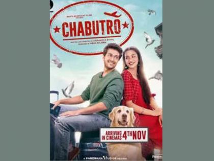 Gujarati Film that raised the bar of Gujarati Cinema – Chabutaro | Gujarati Film that raised the bar of Gujarati Cinema – Chabutaro