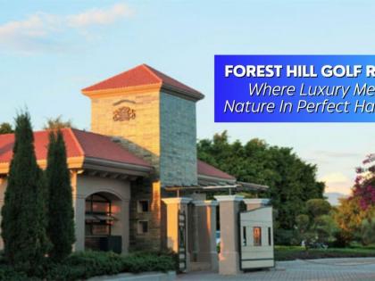 Forest Hill Resort: Where Luxury Meets Nature in Perfect Harmony | Forest Hill Resort: Where Luxury Meets Nature in Perfect Harmony