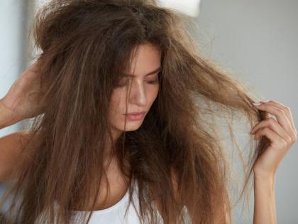 The Ultimate Guide to Repair Chemically Damaged Hair | The Ultimate Guide to Repair Chemically Damaged Hair The Ultimate Guide to Repair Chemically Damaged Hair | The Ultimate Guide to Repair Chemically Damaged Hair