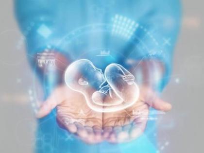 IVF Treatment in India: How Much Does it Cost | IVF Treatment in India: How Much Does it Cost IVF Treatment in India: How Much Does it Cost | IVF Treatment in India: How Much Does it Cost
