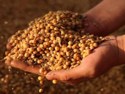 Push to declare 2026 as ‘Year of Soy’ to boost nutrition, farmer incomes | Push to declare 2026 as ‘Year of Soy’ to boost nutrition, farmer incomes Push to declare 2026 as ‘Year of Soy’ to boost nutrition, farmer incomes | Push to declare 2026 as ‘Year of Soy’ to boost nutrition, farmer incomes