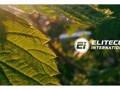 Elitecon International Surges on 5% Upper Circuit Amidst Strong Financials and Strategic Dividend Relinquishment | Elitecon International Surges on 5% Upper Circuit Amidst Strong Financials and Strategic Dividend Relinquishment