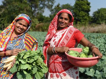 Vedanta Aluminium’s Jeevika Samriddhi Project Paves the Way for Smart Agri-Entrepreneurs in Jharsuguda | Vedanta Aluminium’s Jeevika Samriddhi Project Paves the Way for Smart Agri-Entrepreneurs in Jharsuguda Vedanta Aluminium’s Jeevika Samriddhi Project Paves the Way for Smart Agri-Entrepreneurs in Jharsuguda | Vedanta Aluminium’s Jeevika Samriddhi Project Paves the Way for Smart Agri-Entrepreneurs in Jharsuguda