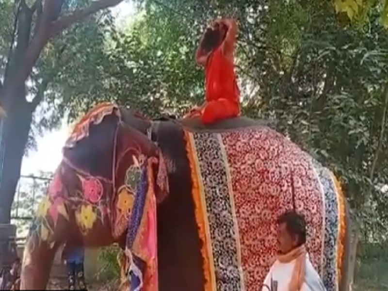 Video ह थ पर ब ठकर य ग आसन कर रह ब ब र मद व न च ग र य जर स न प छ आख र ह थ क प ठ पर य ग क य