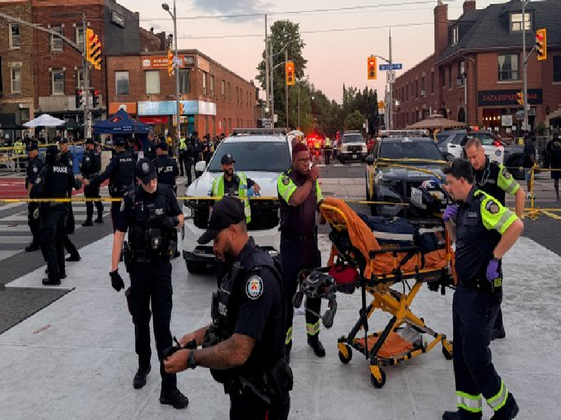 canada 202607326779