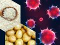 Coronavirus: कोरोना को हराने के लिए शरीर को बनाएं मजबूत, किचन से तुरंत बाहर कर दें ये 5 चीजें - Hindi News | Coronavirus prevention Diet Tips for strong immunity defeat coronavirus avoid these 5 foods | Latest health Photos at Lokmatnews.in