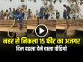 VIDEO: नहर से निकला 15 फीट का अजगर, दिल दहला देने वाला वीडियो - Hindi News | 15 feet long python came out from the canal video goes viral | Latest weird News at Lokmatnews.in