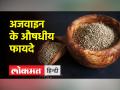 अजवाइन के फायदे - Hindi News | benefits of celery | Latest health Videos at Lokmatnews.in
