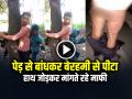 VIDEO: 2 बच्चों को पेड़ से बांधकर बेरहमी से पीटा, हाथ जोड़कर मांगते रहे माफी, देखें वायरल वीडियो - Hindi News | 2 children were tied to a tree and brutally beaten, incident from Muzaffarnagar, watch viral video | Latest weird News at Lokmatnews.in