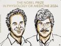 2024 Nobel Prize in Physiology or Medicine: विक्टर एम्ब्रोस और गैरी रुवकुन को दिया गया चिकित्सा क्षेत्र का नोबल पुरस्कार, जानिए उनकी उपलब्धि - Hindi News | 2024 Nobel Prize in Physiology or Medicine: Nobel Prize in medicine awarded to Victor Ambrose and Gary Ruvkun, know their achievements | Latest world News at Lokmatnews.in