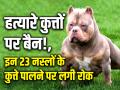 Dog Breeds Ban: हत्यारे कुत्तों पर बैन!, इन 23 नस्लों के कुत्ते पालने पर लगी रोक, देखें लिस्ट - Hindi News | 23 Dog Breeds Ban in India Pitbull Terrier Tosa Inu American staffordshire Terrier Fila Brasileiro Dogo Argentino American Bulldog Blue Bowl Kangal Tornjak Bandog | Latest weird Photos at Lokmatnews.in