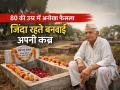 80 की उम्र में अनोखा फैसला, ज़िंदा रहते बनवाई अपनी कब्र - Hindi News | 80-Year-Old-Makes-Unique-Decision-Builds-Qwn-Grave | Latest weird News at Lokmatnews.in
