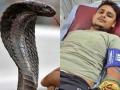 Anti Snake Venom: मुझे बचा लीजिए... शनिवार को सांप 8वीं बार डस लेगा! 40 दिन में 7 बार बनाया शिकार - Hindi News | Uttar Pradesh Fatehpur snake bite anti snake venom | Latest weird News at Lokmatnews.in