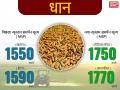 यहां जानें पिछले और नए साल का न्यूनतम समर्थन मूल्य (MSP), देखें पिक्चर्स - Hindi News | minimum support price last year and new msp 2018, see pics | Latest india Photos at Lokmatnews.in