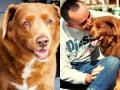 World Oldest Dog Died: दुनिया के सबसे बुजुर्ग डॉग बॉबी की हुई मृत्यु, जन्मदिन पर आए थे स्पेशल 100 गेस्ट - Hindi News | World's oldest dog Bobby died 100 special guests came on his birthday | Latest weird News at Lokmatnews.in